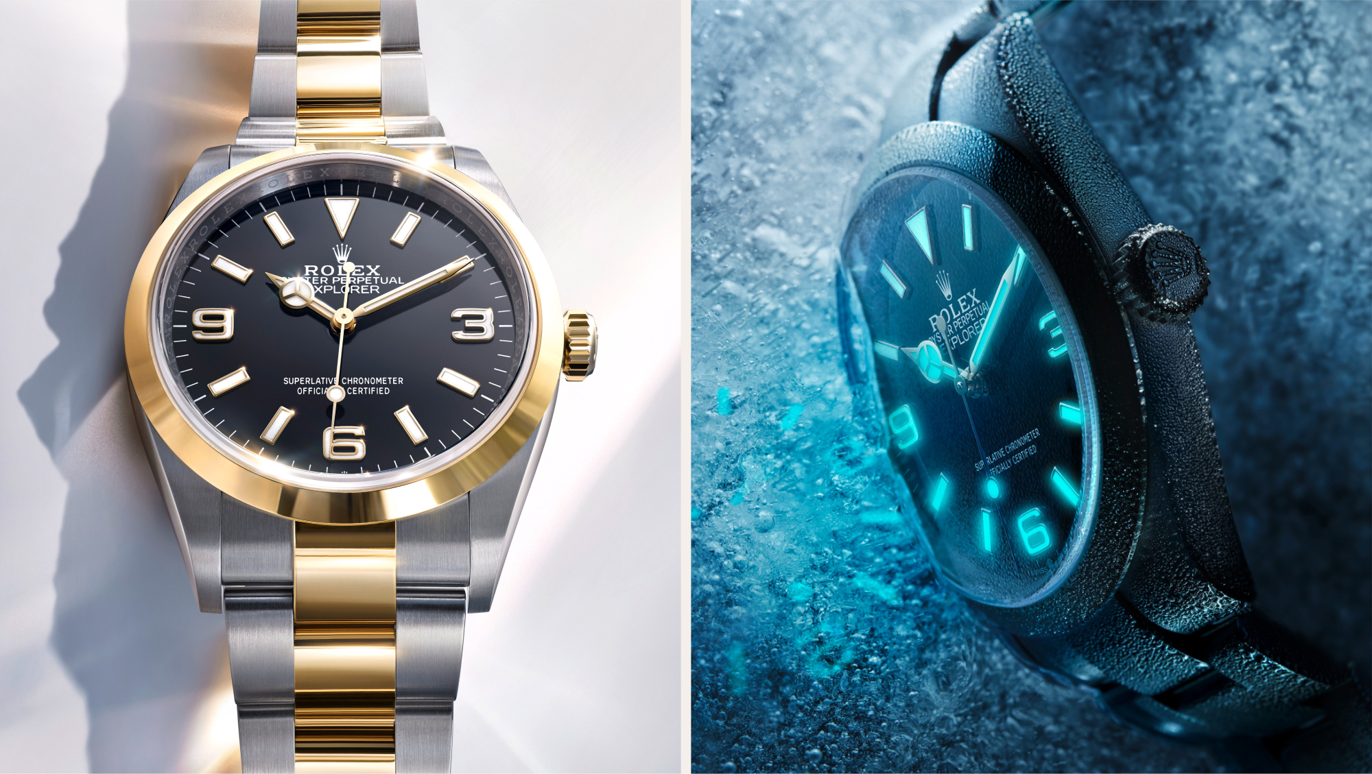 Rolex Explorer Watches – Zigerli+Iff
